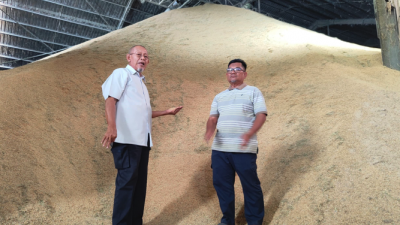 大马米较厂商联合会主席哈兹玛祖基建议政府解决当前市场本地白米短缺问题的最佳方案是提高本地白米顶价，以实现各方互利共赢。
